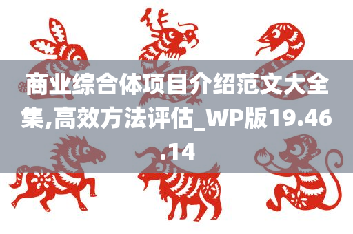 商业综合体项目介绍范文大全集,高效方法评估_WP版19.46.14