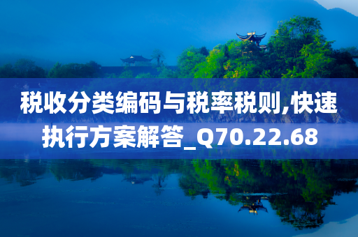 税收分类编码与税率税则,快速执行方案解答_Q70.22.68