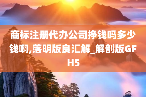 商标注册代办公司挣钱吗多少钱啊,落明版良汇解_解剖版GFH5