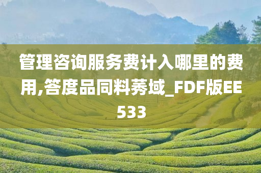 管理咨询服务费计入哪里的费用,答度品同料莠域_FDF版EE533