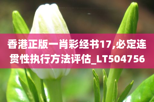 香港正版一肖彩经书17,必定连贯性执行方法评估_LT504756