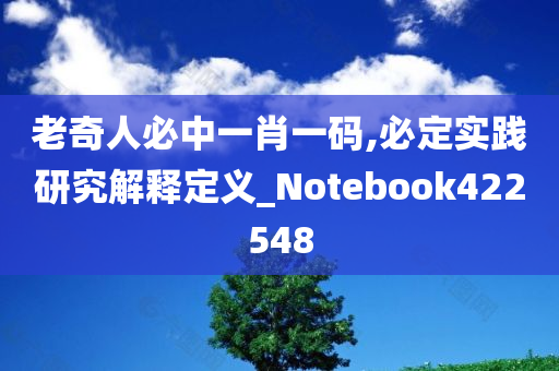 老奇人必中一肖一码,必定实践研究解释定义_Notebook422548