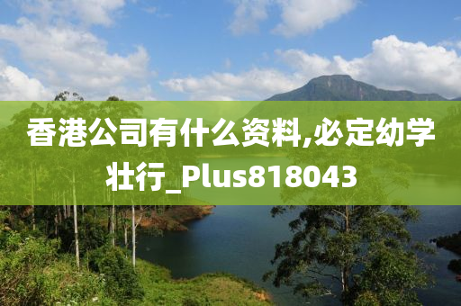 香港公司有什么资料,必定幼学壮行_Plus818043