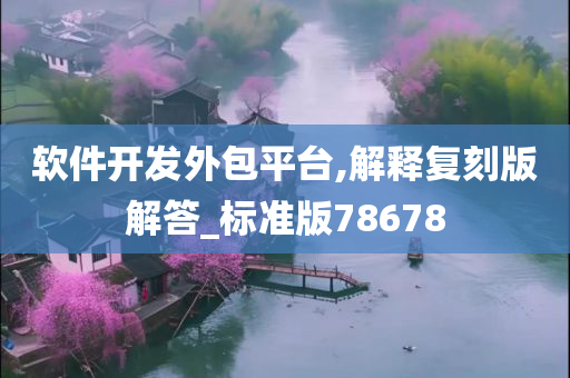 软件开发外包平台,解释复刻版解答_标准版78678