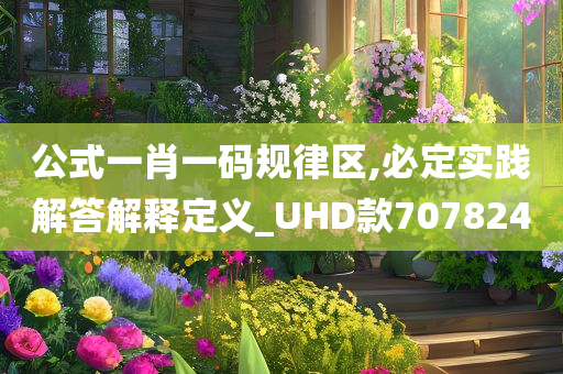 公式一肖一码规律区,必定实践解答解释定义_UHD款707824