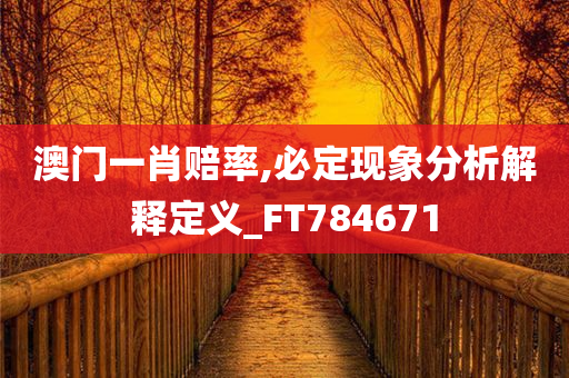 澳门一肖赔率,必定现象分析解释定义_FT784671