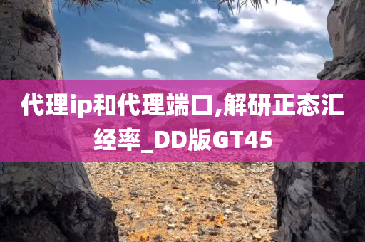 代理ip和代理端口,解研正态汇经率_DD版GT45