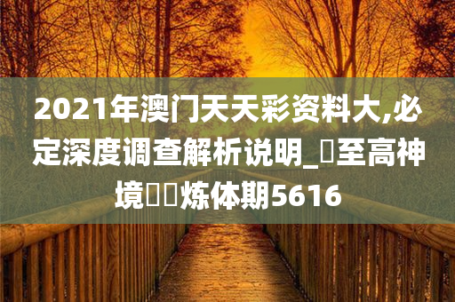 2021年澳门天天彩资料大,必定深度调查解析说明_‌至高神境‌‌炼体期5616