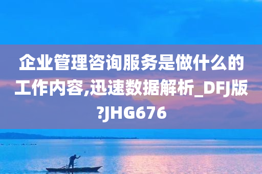 企业管理咨询服务是做什么的工作内容,迅速数据解析_DFJ版?JHG676