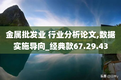 金属批发业 行业分析论文,数据实施导向_经典款67.29.43