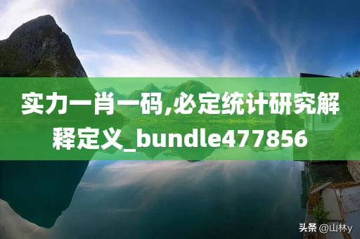 实力一肖一码,必定统计研究解释定义_bundle477856