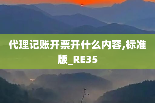 代理记账开票开什么内容,标准版_RE35