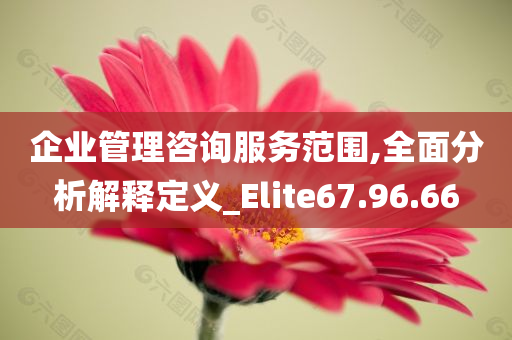 企业管理咨询服务范围,全面分析解释定义_Elite67.96.66