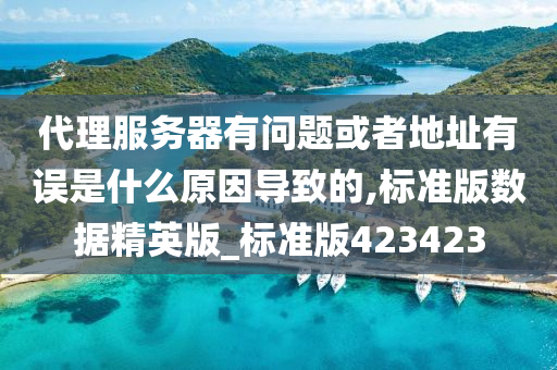 代理服务器有问题或者地址有误是什么原因导致的,标准版数据精英版_标准版423423