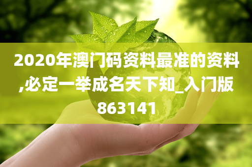 2020年澳门码资料最准的资料,必定一举成名天下知_入门版863141