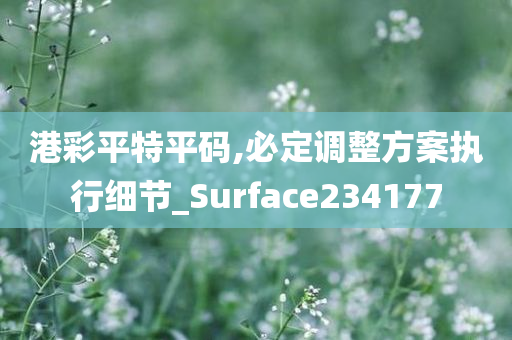 港彩平特平码,必定调整方案执行细节_Surface234177