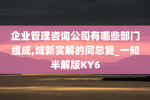 企业管理咨询公司有哪些部门组成,域新实解的同总复_一知半解版KY6