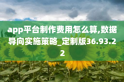 app平台制作费用怎么算,数据导向实施策略_定制版36.93.22