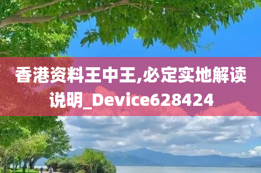 香港资料王中王,必定实地解读说明_Device628424