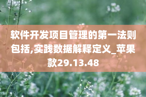 软件开发项目管理的第一法则包括,实践数据解释定义_苹果款29.13.48