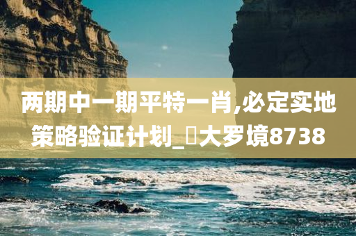 两期中一期平特一肖,必定实地策略验证计划_‌大罗境8738