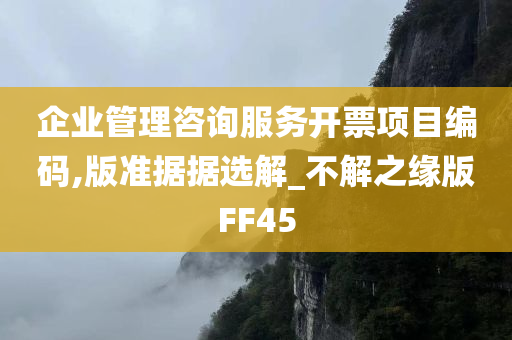 企业管理咨询服务开票项目编码,版准据据选解_不解之缘版FF45