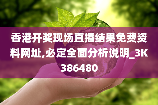 香港开奖现场直播结果免费资料网址,必定全面分析说明_3K386480