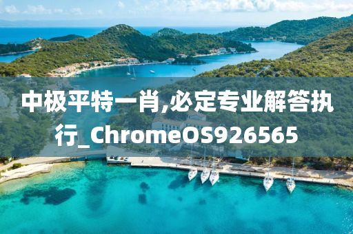 中极平特一肖,必定专业解答执行_ChromeOS926565