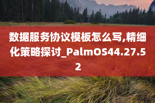 数据服务协议模板怎么写,精细化策略探讨_PalmOS44.27.52