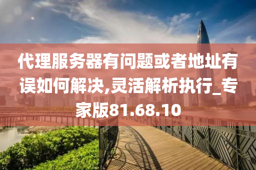 代理服务器有问题或者地址有误如何解决,灵活解析执行_专家版81.68.10