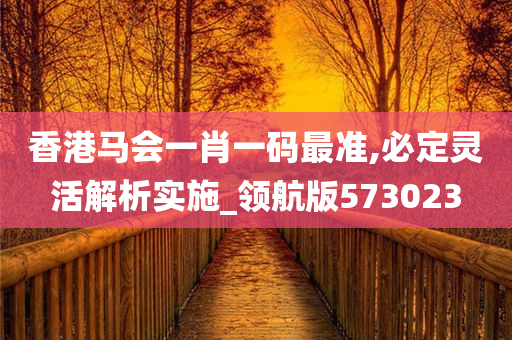 香港马会一肖一码最准,必定灵活解析实施_领航版573023