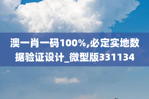 澳一肖一码100%,必定实地数据验证设计_微型版331134