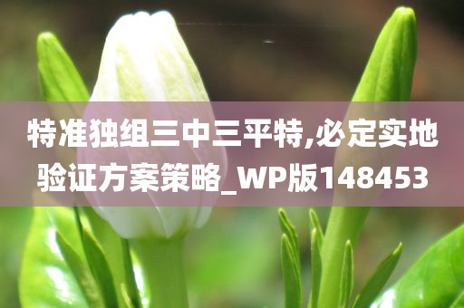 特准独组三中三平特,必定实地验证方案策略_WP版148453