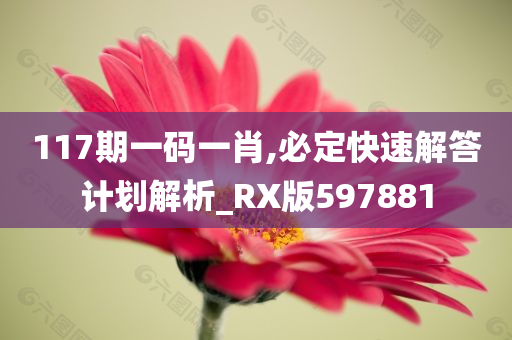 117期一码一肖,必定快速解答计划解析_RX版597881