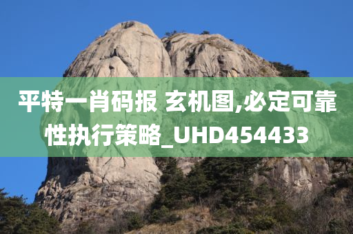 平特一肖码报 玄机图,必定可靠性执行策略_UHD454433