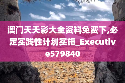 澳门天天彩大全资料免费下,必定实践性计划实施_Executive579840