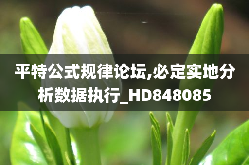 平特公式规律论坛,必定实地分析数据执行_HD848085