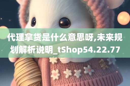 代理拿货是什么意思呀,未来规划解析说明_tShop54.22.77