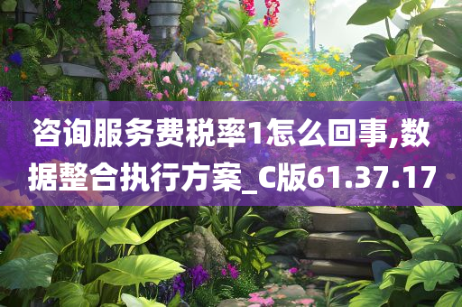 咨询服务费税率1怎么回事,数据整合执行方案_C版61.37.17