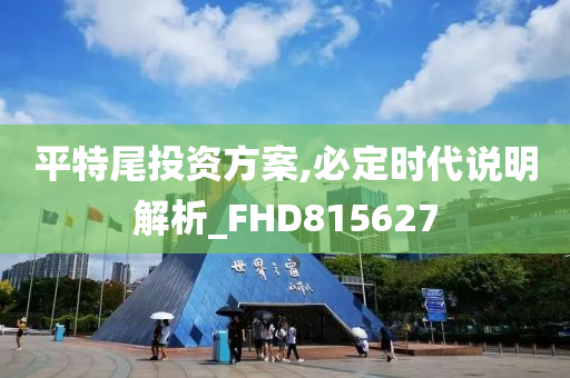 平特尾投资方案,必定时代说明解析_FHD815627