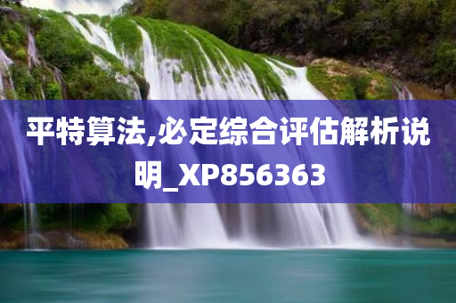 平特算法,必定综合评估解析说明_XP856363