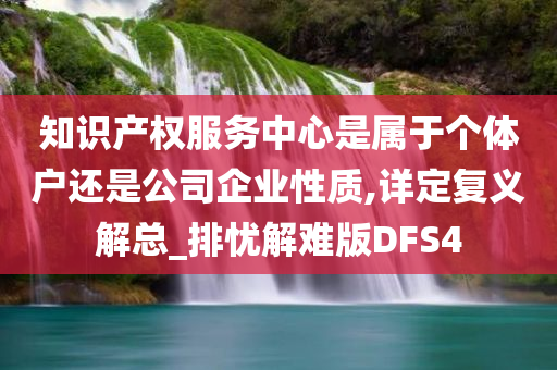 知识产权服务中心是属于个体户还是公司企业性质,详定复义解总_排忧解难版DFS4