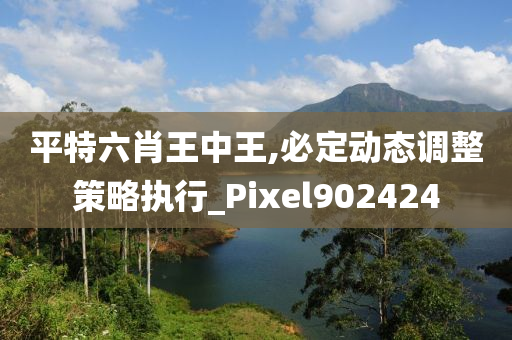 平特六肖王中王,必定动态调整策略执行_Pixel902424