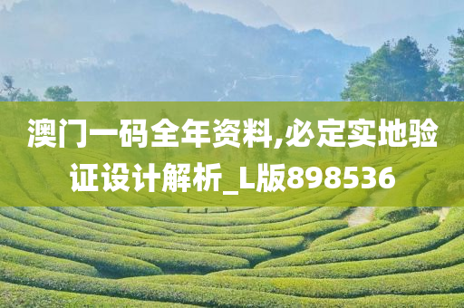 澳门一码全年资料,必定实地验证设计解析_L版898536