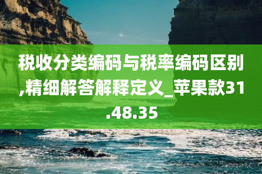 税收分类编码与税率编码区别,精细解答解释定义_苹果款31.48.35