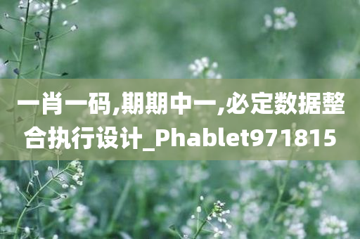 一肖一码,期期中一,必定数据整合执行设计_Phablet971815