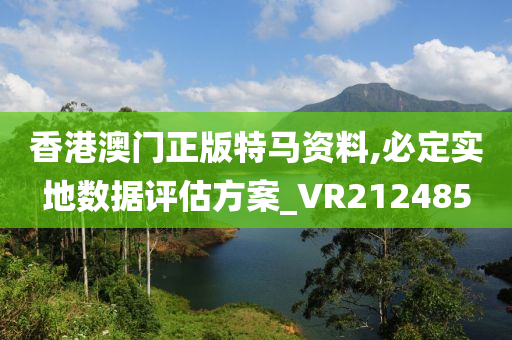 香港澳门正版特马资料,必定实地数据评估方案_VR212485