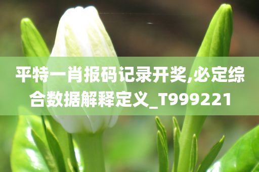 平特一肖报码记录开奖,必定综合数据解释定义_T999221