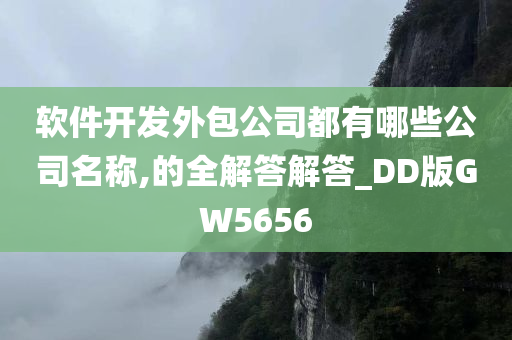 软件开发外包公司都有哪些公司名称,的全解答解答_DD版GW5656