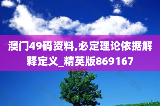 澳门49码资料,必定理论依据解释定义_精英版869167